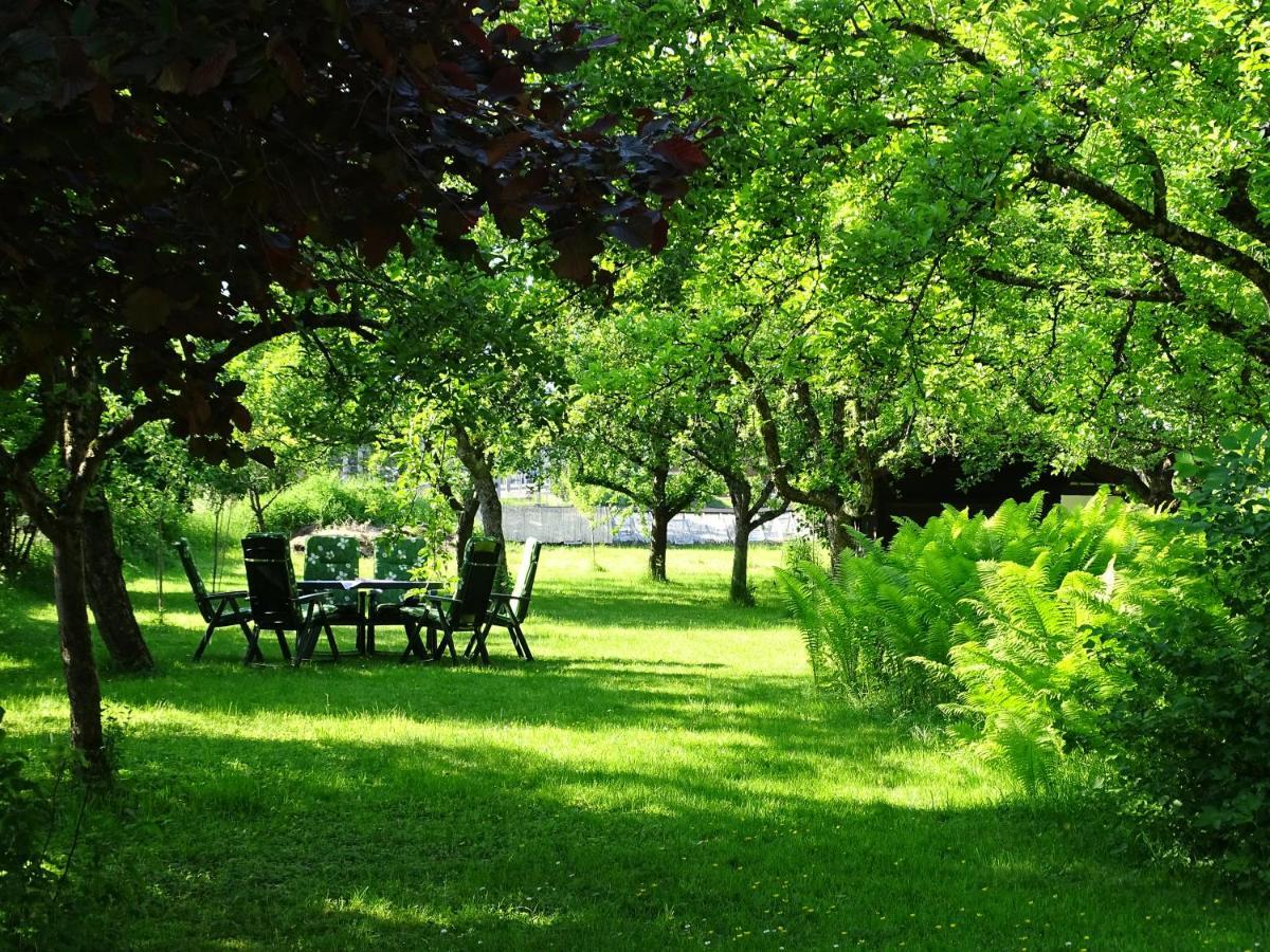 كيتزبوهيل Pension Rainhof المظهر الخارجي الصورة